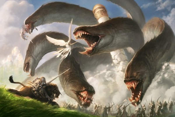 Kraken 12 at