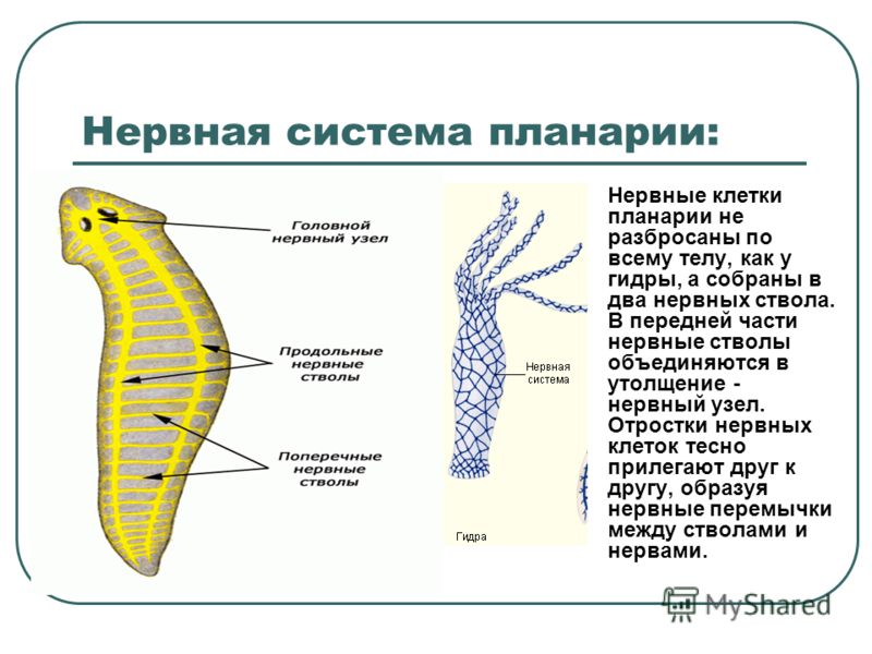 Тор кракен vk2 top