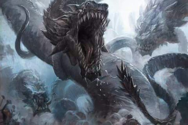 Kraken 12at