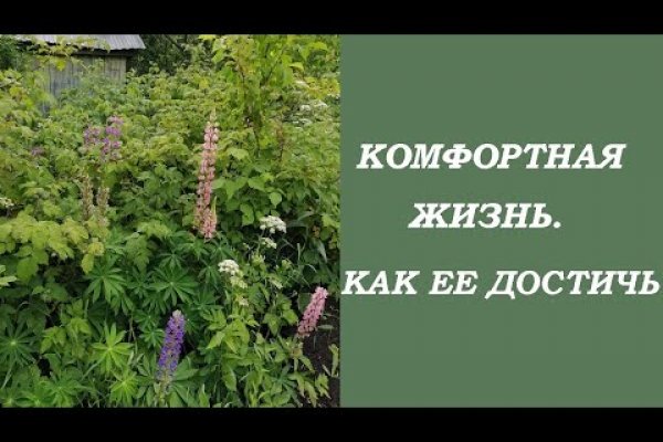 Кракен в обход