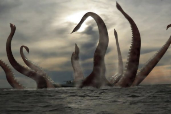 Kraken 23 at