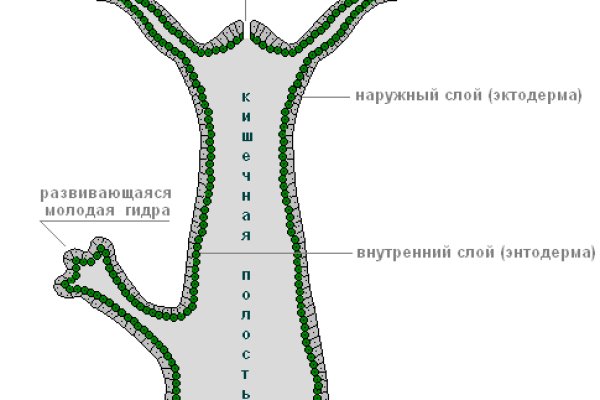 Kraken at зеркало