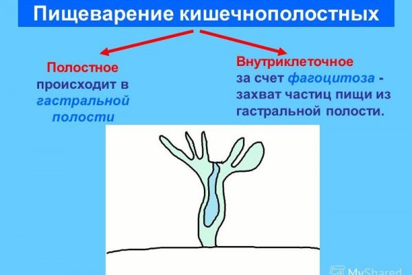 Кракен сайт войти