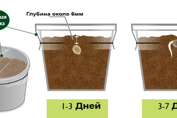 Кракен наркологический