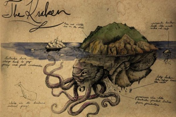 Kraken 20at
