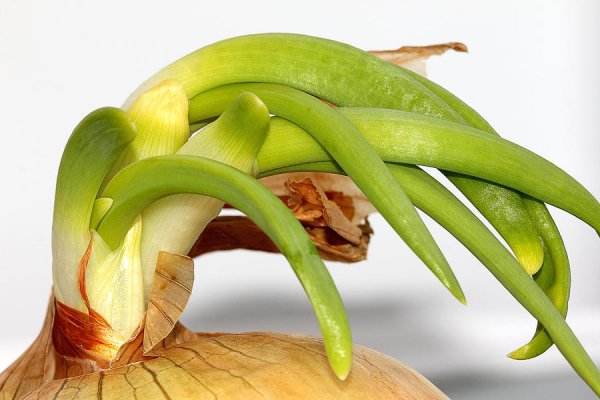 Kraken tor onion зеркало