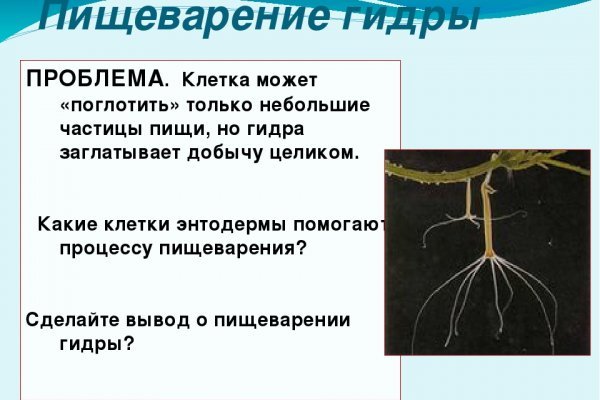 Кракен это современный даркнет маркет