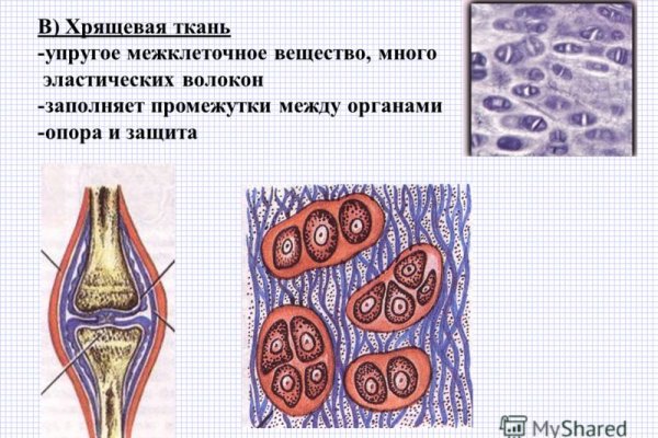 Даркнет москва
